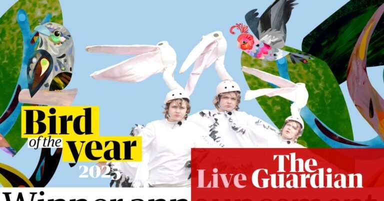 Australian bird of the year 2025 winner announcement – live | Australian bird of the year 2025