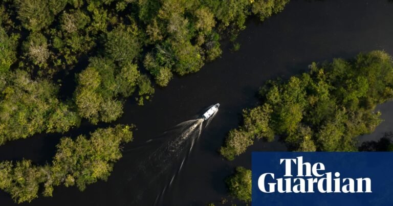 Brazil greenlights oil drilling in Amazon as environmentalists raise alarm | Brazil Brazil greenlights oil drilling in Amazon as environmentalists raise alarm | Brazil