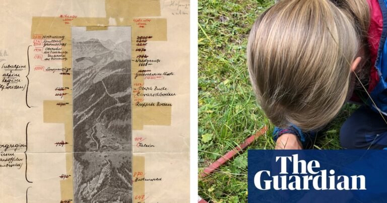 Century-old papers saved from the bin reveal changes in Europe’s plant life | Biodiversity Century-old papers saved from the bin reveal changes in Europe’s plant life | Biodiversity