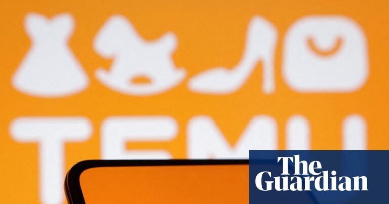 China’s Temu more than doubles EU profits to nearly $120m despite having only eight staff | Retail industry China’s Temu more than doubles EU profits to nearly $120m despite having only eight staff | Retail industry