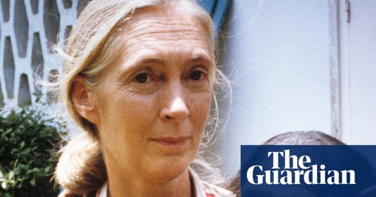 Dame Jane Goodall obituary | Animal behaviour