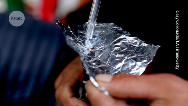 Dangerous ‘nitazene’ opioids are on the rise: researchers are worried