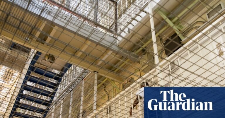 Education cuts in prisons ultimately endanger the public, watchdog says | Prisons and probation