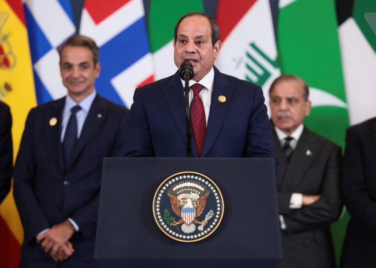 Egypt: Two-state solution is ‘the only way to achieve peace’ | Gaza Egypt: Two-state solution is ‘the only way to achieve peace’ | Gaza