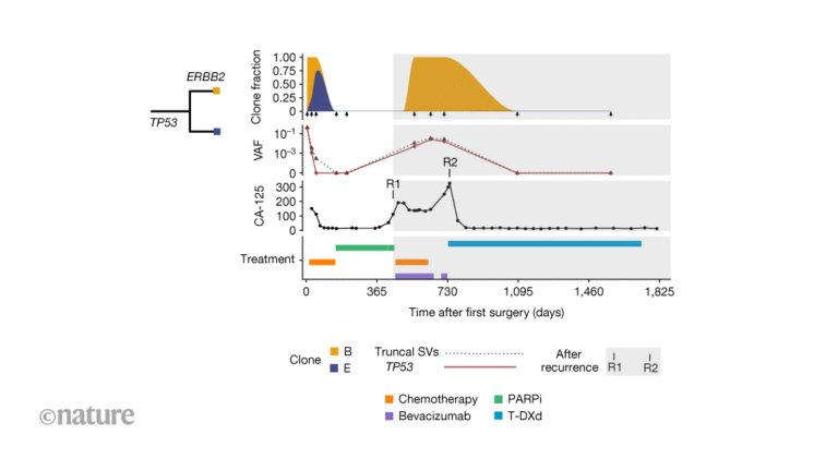 Evolution of drug-resistant ovarian-cancer clones tracked in patients