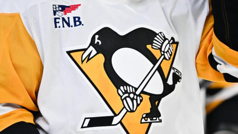 Fan at Penguins-Blues game in Pittsburgh hospitalized in critical condition after falling from upper concourse Fan at Penguins-Blues game in Pittsburgh hospitalized in critical condition after falling from upper concourse