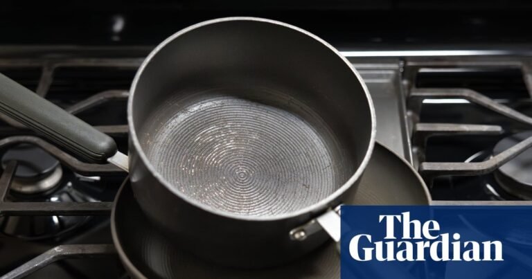 Gavin Newsom’s veto on bill to ban Pfas hands industry a win, advocates fear | Pfas