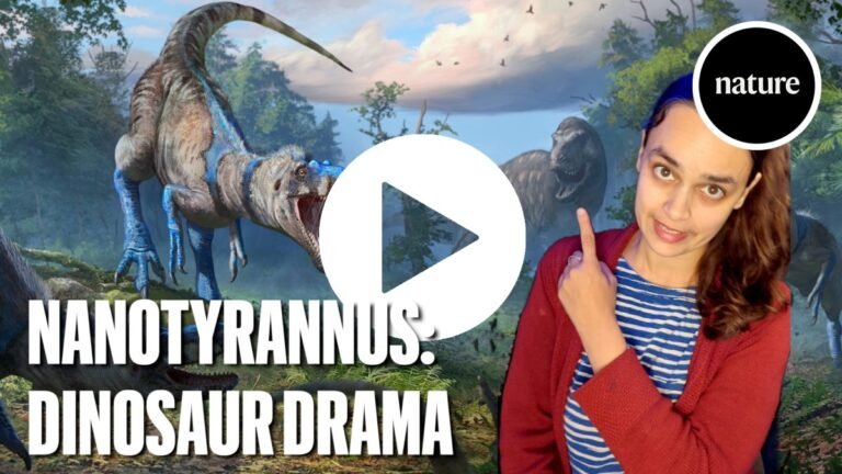 Hotly debated dinosaur is not a tiny <i>T. rex</i> after all