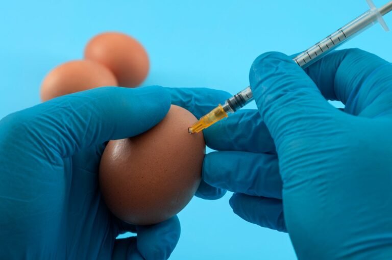 How Are Annual Flu Vaccines Made?