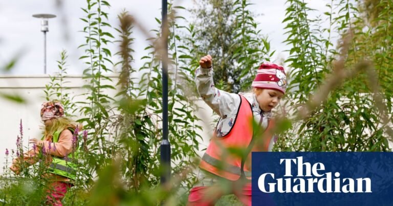 How a radical experiment to bring a forest into a preschool transformed children’s health | Early years education How a radical experiment to bring a forest into a preschool transformed children’s health | Early years education