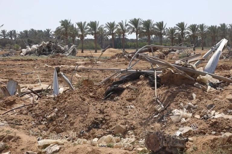 In Gaza, 95 Percent of Farmland Is in Ruins
