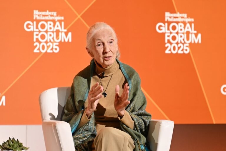 Jane Goodall, Conservationist Who Transformed Our Understanding of Chimpanzees, Dies at 91 Jane Goodall, Conservationist Who Transformed Our Understanding of Chimpanzees, Dies at 91