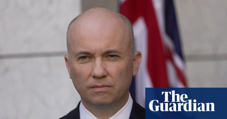 Matt Kean rebukes Coalition for ‘playing politics ’ as crunch time looms for nature laws | Australian politics