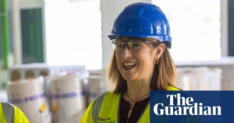 Nature groups rebuke Reeves for ‘cynical’ 11th-hour planning bill changes | Planning policy