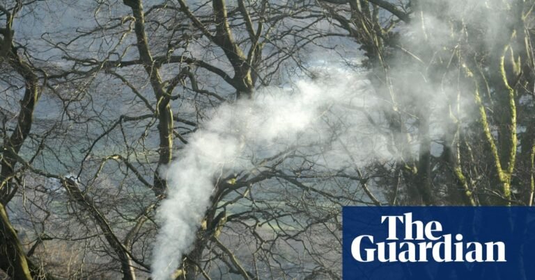 Only one prosecution made after 15,195 wood-burning complaints in a year in England | Air pollution