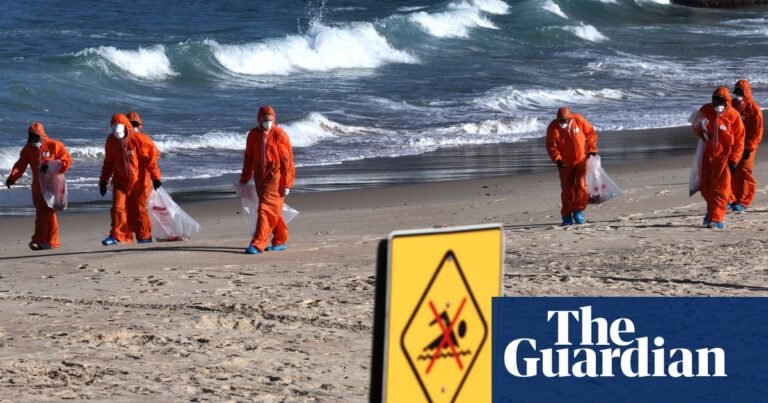 Secret report shows likely source of ‘poo balls’ that closed Sydney’s beaches last summer | Pollution