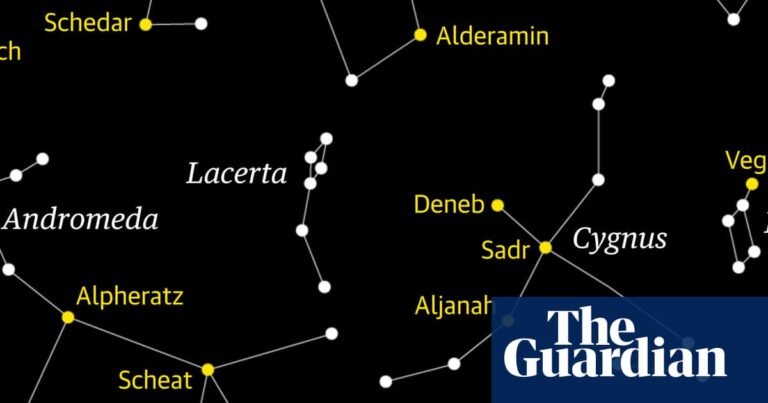 Starwatch: can you spot Lacerta the lizard crawling across the night sky? | Science