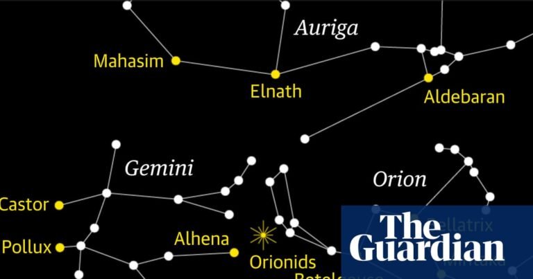 Starwatch: look east to catch the zippy Orionids meteor shower | Astronomy