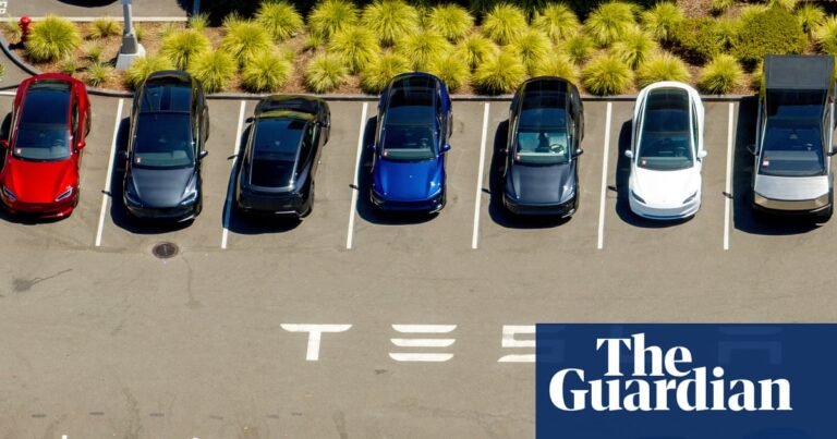 Tesla reports steep drop in profits despite US rush to buy electric vehicles | Tesla