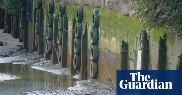 Thames Water ranked worst supplier in England as firms’ ratings hit record low | Water industry