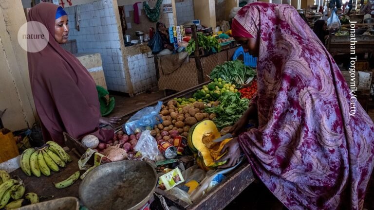 The spectre of malnutrition is back and must be tackled — fast