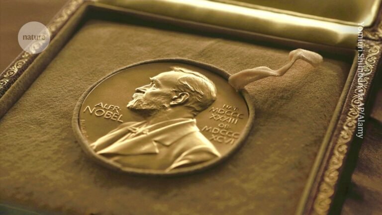 These science prizes want to rival the Nobels: how do they compare? These science prizes want to rival the Nobels: how do they compare?