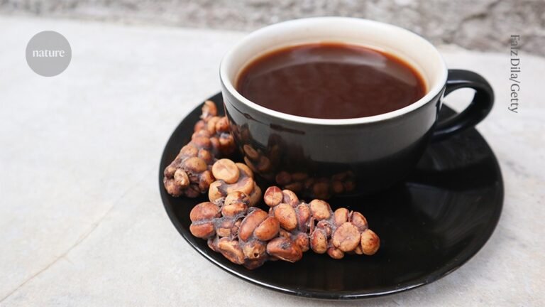 This luxury ‘cat poo’ coffee has a unique flavour: what’s behind it?