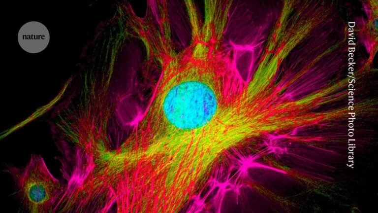 Time-resolved fluorescent proteins expand the microscopy palette