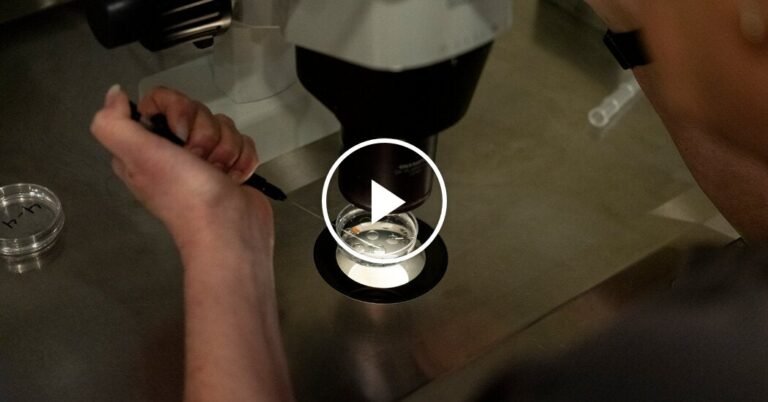 Trump Announces Proposals to Make I.V.F. More Affordable Trump Announces Proposals to Make I.V.F. More Affordable