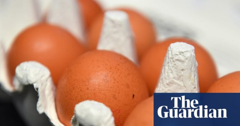 Warnings of imports of caged hen eggs as Ukraine and Poland become UK’s biggest suppliers | Eggs