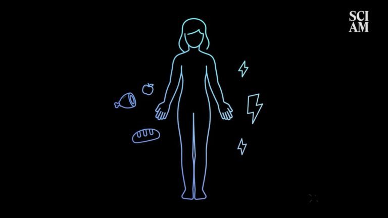 What is Type 1 Diabetes? Here's Your 5-Minute Primer