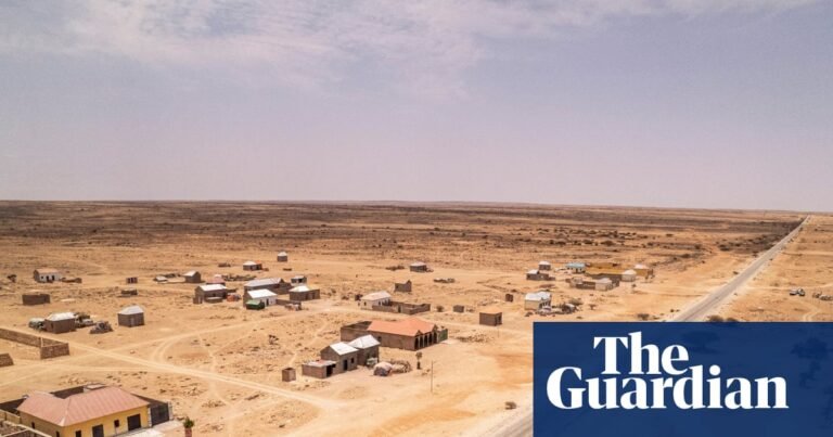 When the rains don’t come: how drought and endless dry seasons are changing life in Puntland – in pictures | Global development