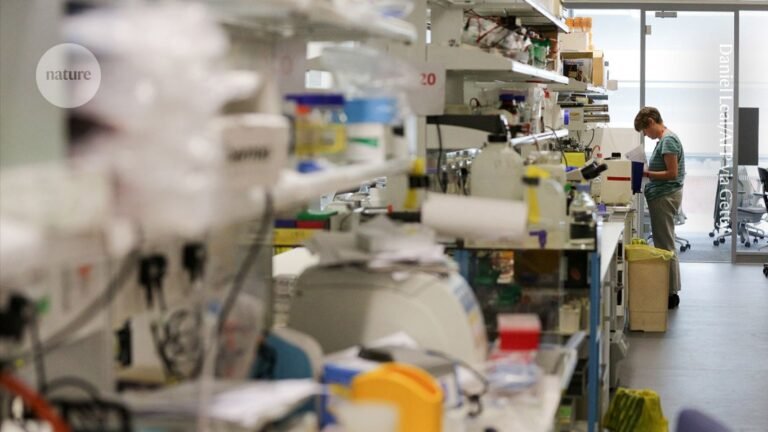 Will your study change the world? This AI tool predicts the impact of your research Will your study change the world? This AI tool predicts the impact of your research