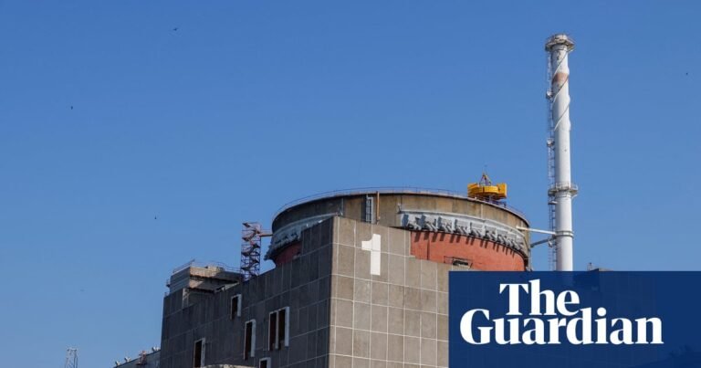 Zelenskyy sounds alarm over unprecedented power outage at Zaporizhzhia nuclear plant | Nuclear power Zelenskyy sounds alarm over unprecedented power outage at Zaporizhzhia nuclear plant | Nuclear power