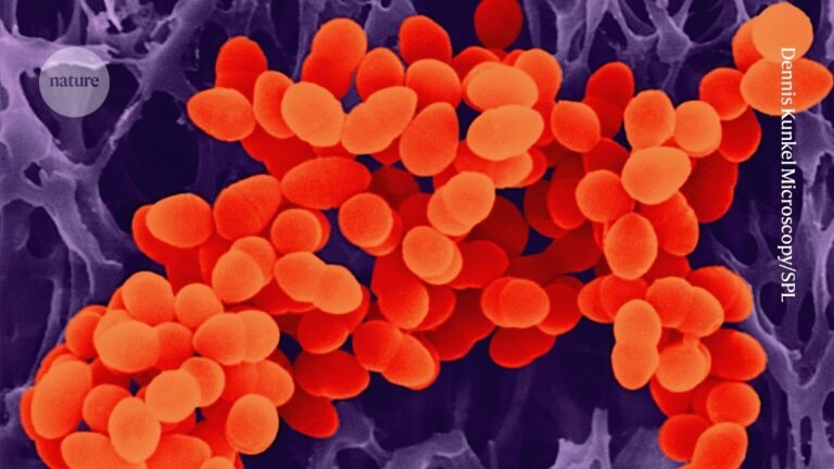 antimicrobial resistance in five charts