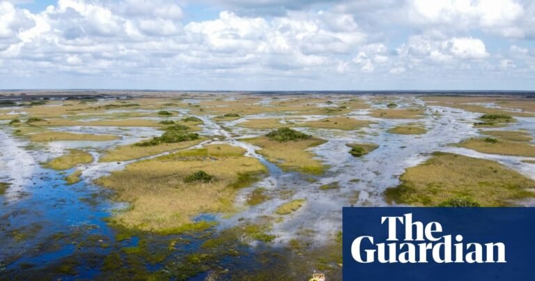 ‘Contract that never was’ adds twist to scientist’s fight over Everglades project | Florida