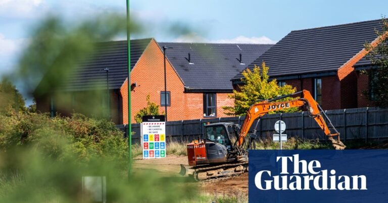 ‘Desecration of landscape’: the fight over development in areas of outstanding natural beauty | Conservation