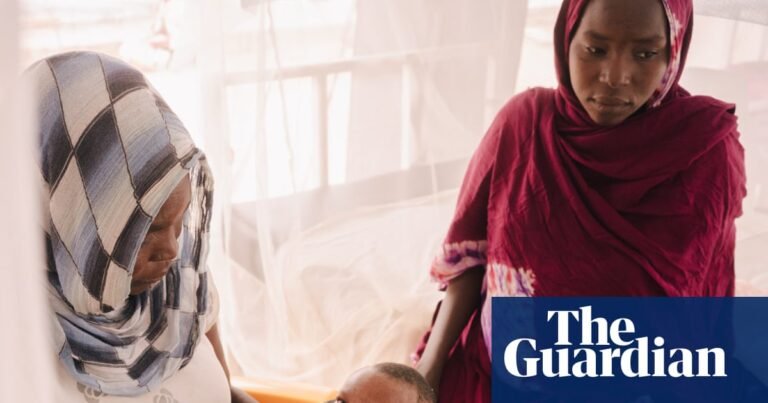 ‘I have searched and searched for help’: the Sudanese women left alone to live hand to mouth in Chad’s desert camps | Chad ‘I have searched and searched for help’: the Sudanese women left alone to live hand to mouth in Chad’s desert camps | Chad