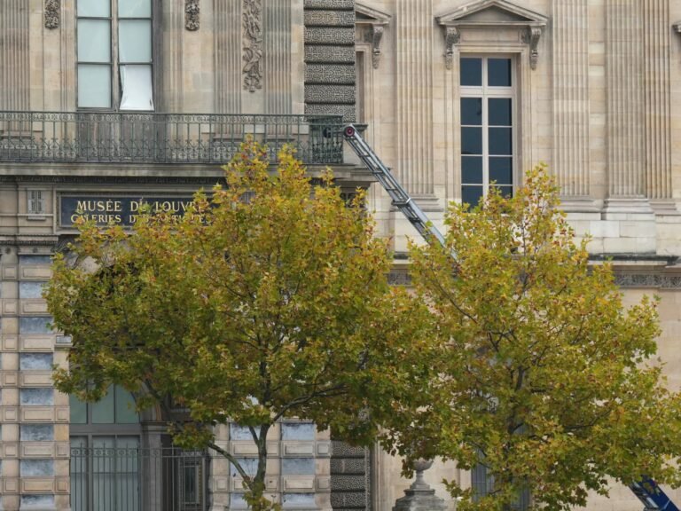 ‘Priceless’ jewels stolen from France’s Louvre Museum in four-minute heist | Crime News ‘Priceless’ jewels stolen from France’s Louvre Museum in four-minute heist | Crime News