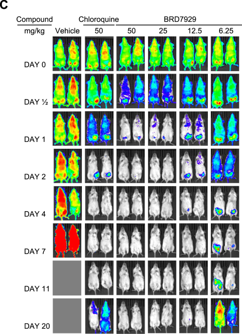 Author Correction: Diversity-oriented synthesis yields novel multistage antimalarial inhibitors