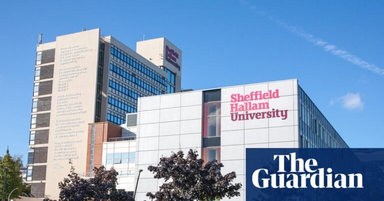 China-critical UK academics describe ‘extremely heavy’ pressure from Beijing | Universities