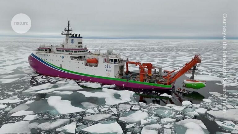 Chinese researchers reveal unexplored section of mysterious Arctic Ocean ridge