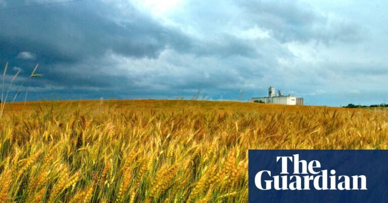 Chinese scientist charged with smuggling pathogen into US to be deported | Michigan