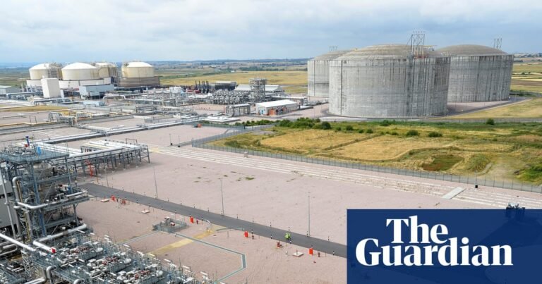 Energy advisers warn ministers of emerging UK gas supply crisis | Gas
