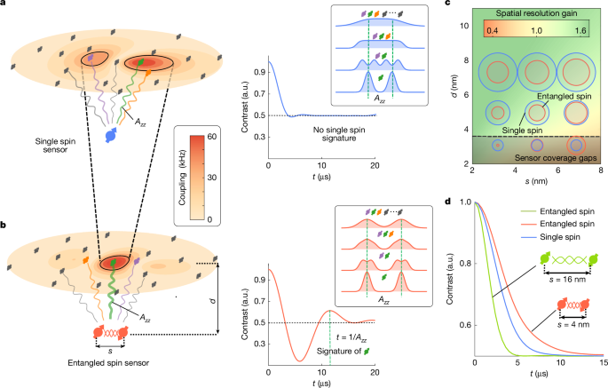 Entanglement-enhanced nanoscale single-spin sensing | Nature Entanglement-enhanced nanoscale single-spin sensing | Nature