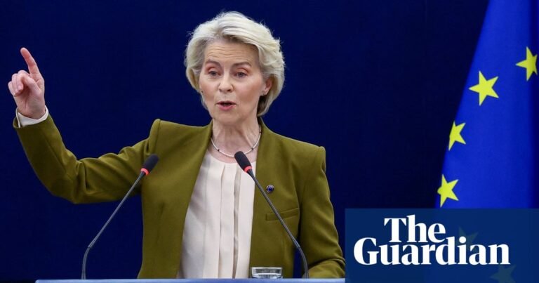 European parliament calls for social media ban on under-16s | Internet safety