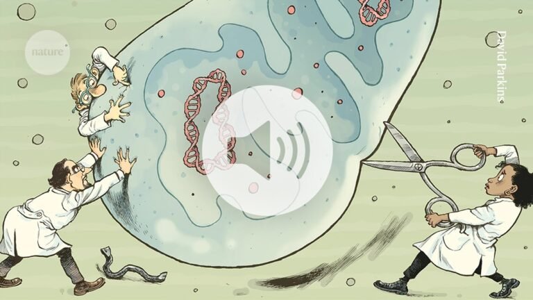 Faulty mitochondria cause deadly diseases — fixing them is about to get a lot easier Faulty mitochondria cause deadly diseases — fixing them is about to get a lot easier