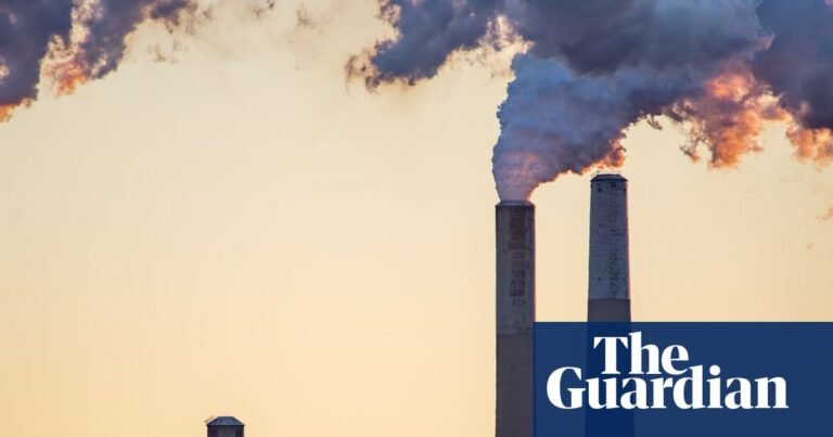 Fossil fuel lobbyists outnumber all Cop30 delegations except Brazil, report says | Cop30