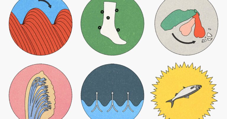 How Inventors Find Inspiration in Evolution