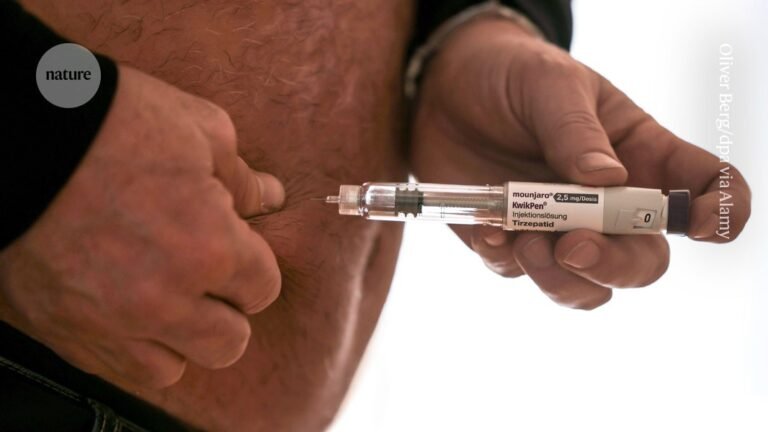 How obesity drugs quiet ‘food noise’ in the brain